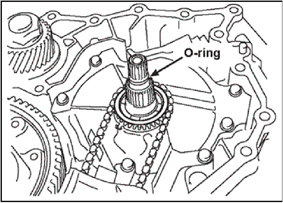 520065657_graphic-text273